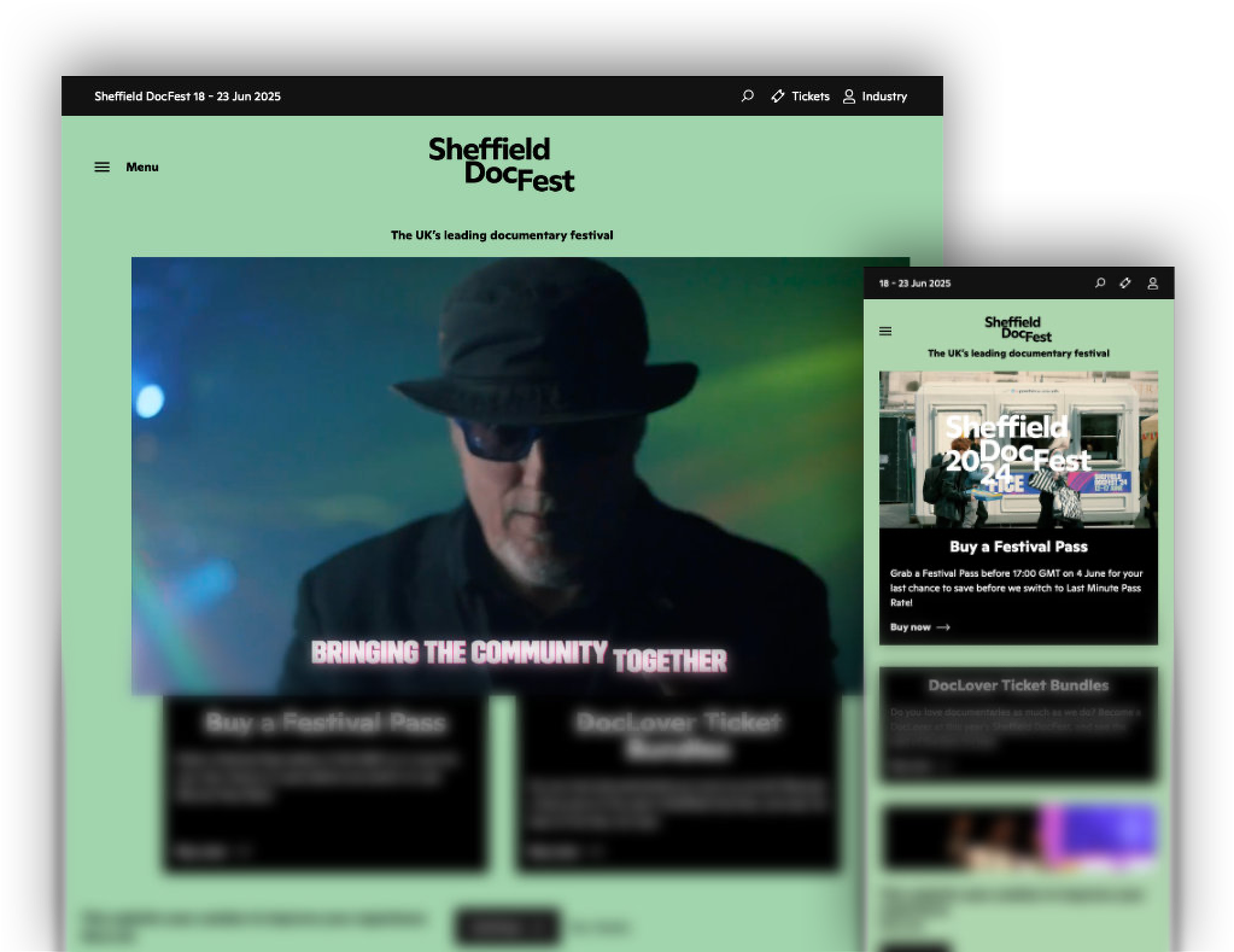 Docfest Website Visual