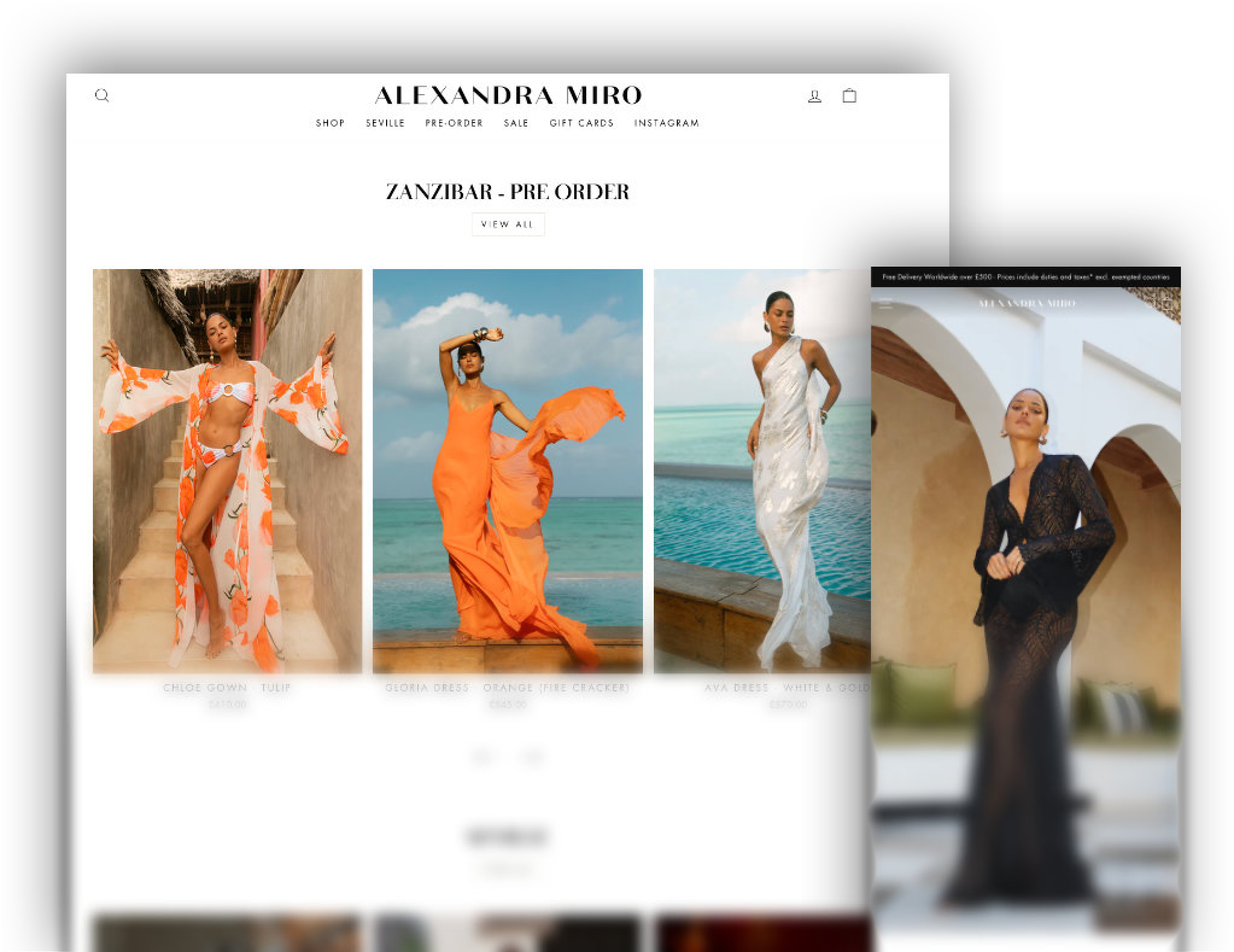 Alexandra Miro Shop Visual
